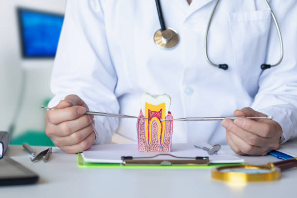 Best Emergency Root Canal Treatment in Norton Shores, MI